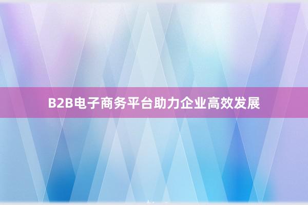 B2B电子商务平台助力企业高效发展