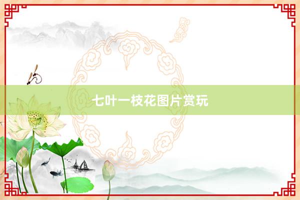 七叶一枝花图片赏玩
