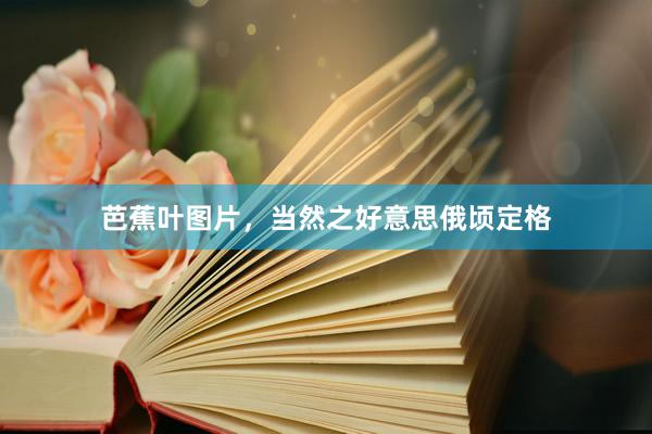 芭蕉叶图片,当然之好意思俄顷定格