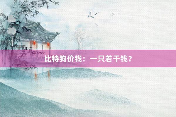 比特狗价钱：一只若干钱？